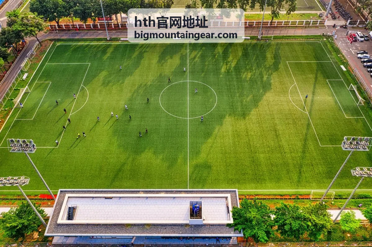 hth官网地址 入口核验流程步骤配图